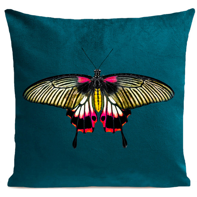 COUSSIN PINK BUTTERFLY